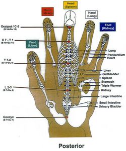 Hand Microsystem