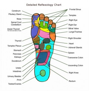 reflexology-chart-foot