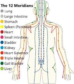 acupuncture_meridians