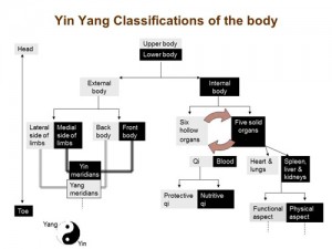 yin_yang_classification_of_body