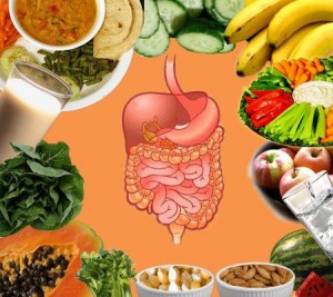 How-to-Improve-Your-Digestive-System